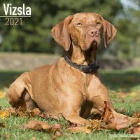 Book Cover for Vizsla 2021 Wall Calendar by Avonside Publishing Ltd