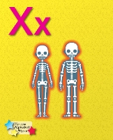 Book Cover for Xx by Stephen Rickard