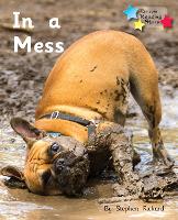 Book Cover for In a Mess by Stephen Rickard