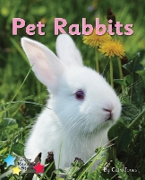 Book Cover for Pet Rabbits by 