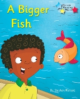 Book Cover for A Bigger Fish by Stephen Rickard