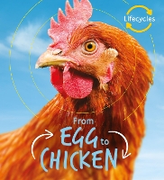 Book Cover for Lifecycles: Egg to Chicken by Camilla de la Bedoyere