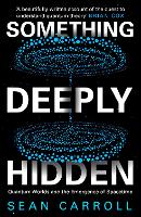 Book Cover for Something Deeply Hidden by Sean Carroll