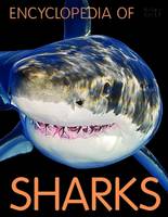 Book Cover for Encyclopedia of Sharks by Barbara Taylor