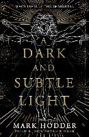 Book Cover for A Dark and Subtle Light by Mark Hodder