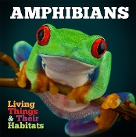 Book Cover for Amphibians by Grace Jones