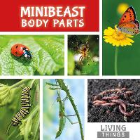Book Cover for Minibeast Body Parts by Steffi Cavell-Clarke, Drue Rintoul