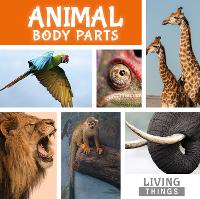 Book Cover for Animal Body Parts by Steffi Cavell-Clarke