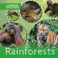 Book Cover for Rainforests by John Wood, Matt Rumbelow