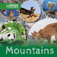 Book Cover for Mountains by John Wood, Matt Rumbelow