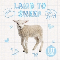 Book Cover for Lamb to Sheep by Holly Duhig, Danielle Rippengill