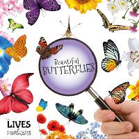 Book Cover for Beautiful Butterflies by Holly Duhig