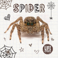 Book Cover for Spider by Holly Duhig, Danielle Webster-Jones