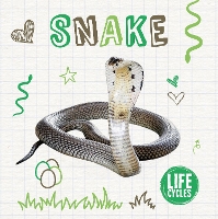 Book Cover for Snake by Holly Duhig