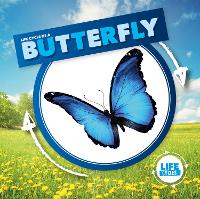 Book Cover for Life Cycle of a Butterfly by Kirsty Holmes