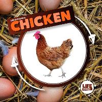 Book Cover for Life Cycle of a Chicken by Kirsty Holmes