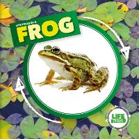 Book Cover for Life Cycle of a Frog by Kirsty Holmes