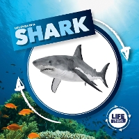 Book Cover for Life Cycle of a Shark by Kirsty Holmes, Dan Scase