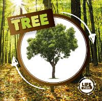 Book Cover for Life Cycle of a Tree by Kirsty Holmes, Dan Scase