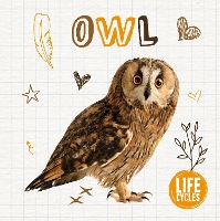 Book Cover for Owl by Madeline Tyler