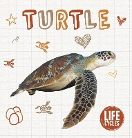 Book Cover for Turtle by Madeline Tyler