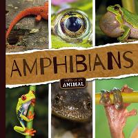 Book Cover for Amphibians by Emilie Dufresne