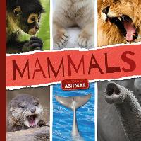 Book Cover for Mammals by Emilie Dufresne