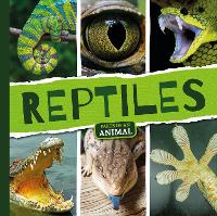 Book Cover for Reptiles by Emilie Dufresne, Amy Li