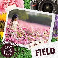 Book Cover for Exploring a Field by Holly Duhig