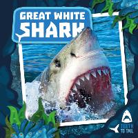 Book Cover for Great White Shark by Robin Twiddy, Danielle Rippengill