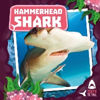 Book Cover for Hammerhead Shark by Robin Twiddy