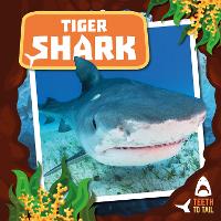 Book Cover for Tiger Shark by Robin Twiddy, Danielle Rippengill