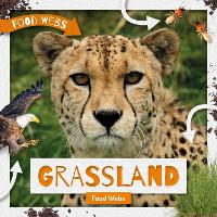 Book Cover for Grassland Food Webs by Harriet Brundle