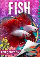 Book Cover for Fish by Joanna Brundle, Dan Scase