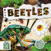 Book Cover for Beetles by William Anthony, Amy Li