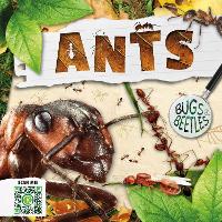 Book Cover for Ants by William Anthony, Amy Li
