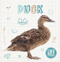 Book Cover for Duck by Shalini Vallepur, Danielle Webster-Jones