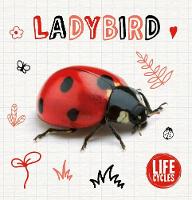 Book Cover for Ladybird by Shalini Vallepur