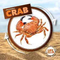 Book Cover for Life Cycle of a Crab by Kirsty Holmes