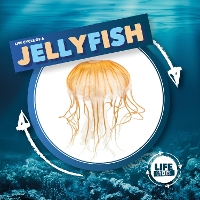 Book Cover for Life Cycle of a Jellyfish by Kirsty Holmes