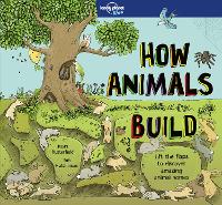 Book Cover for How Animals Build by Moira Butterfield