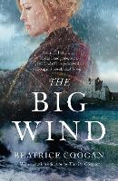 Book Cover for The Big Wind by Beatrice Coogan