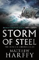 Book Cover for Storm of Steel by Matthew Harffy