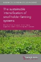 Book Cover for The sustainable intensification of smallholder farming systems by Dr Steve Wiggins, David Eagle