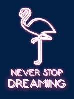 Book Cover for Never Stop Dreaming by Summersdale Publishers