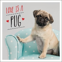 Book Cover for Love is a Pug by Charlie Ellis