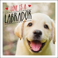 Book Cover for Love is a Labrador by Charlie Ellis