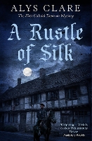 Book Cover for A Rustle of Silk by Alys Clare