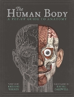 Book Cover for The Human Body by Richard Walker