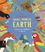 Book Cover for Small Worlds: Earth by Camilla De La Bedoyere